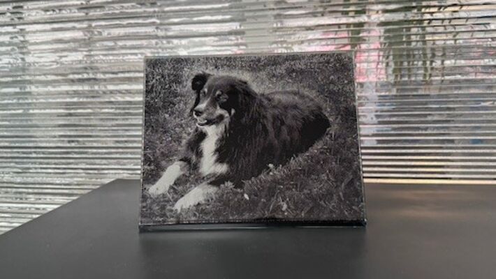 Glasbild Glasbild
